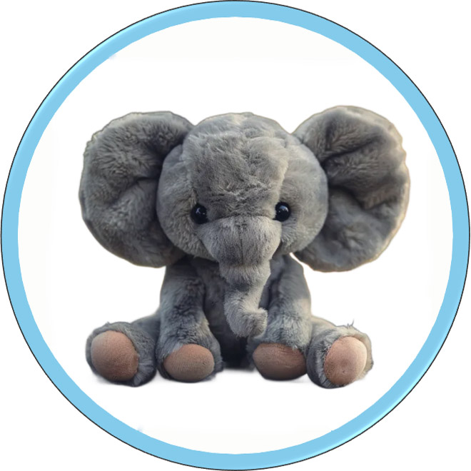 अनुकूलकरण